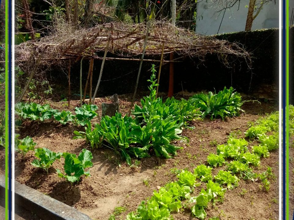 d227cdfc-cf19-45c2-9dbe-5e5049b1e142