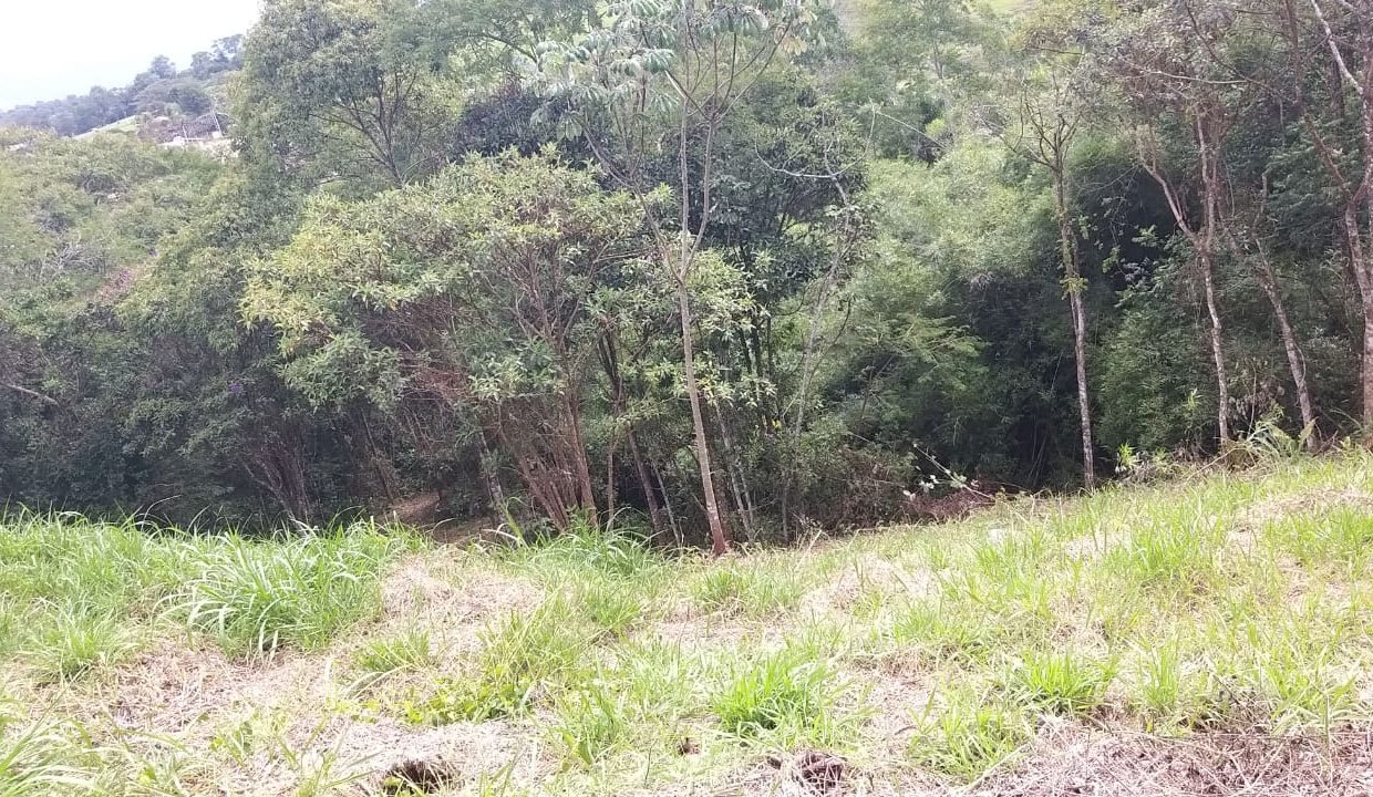 e2d67f8d-45f1-4374-b50c-97a39a419c0e