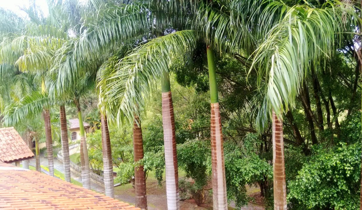 eb31a962-155d-4cb3-82a4-df375760ae08