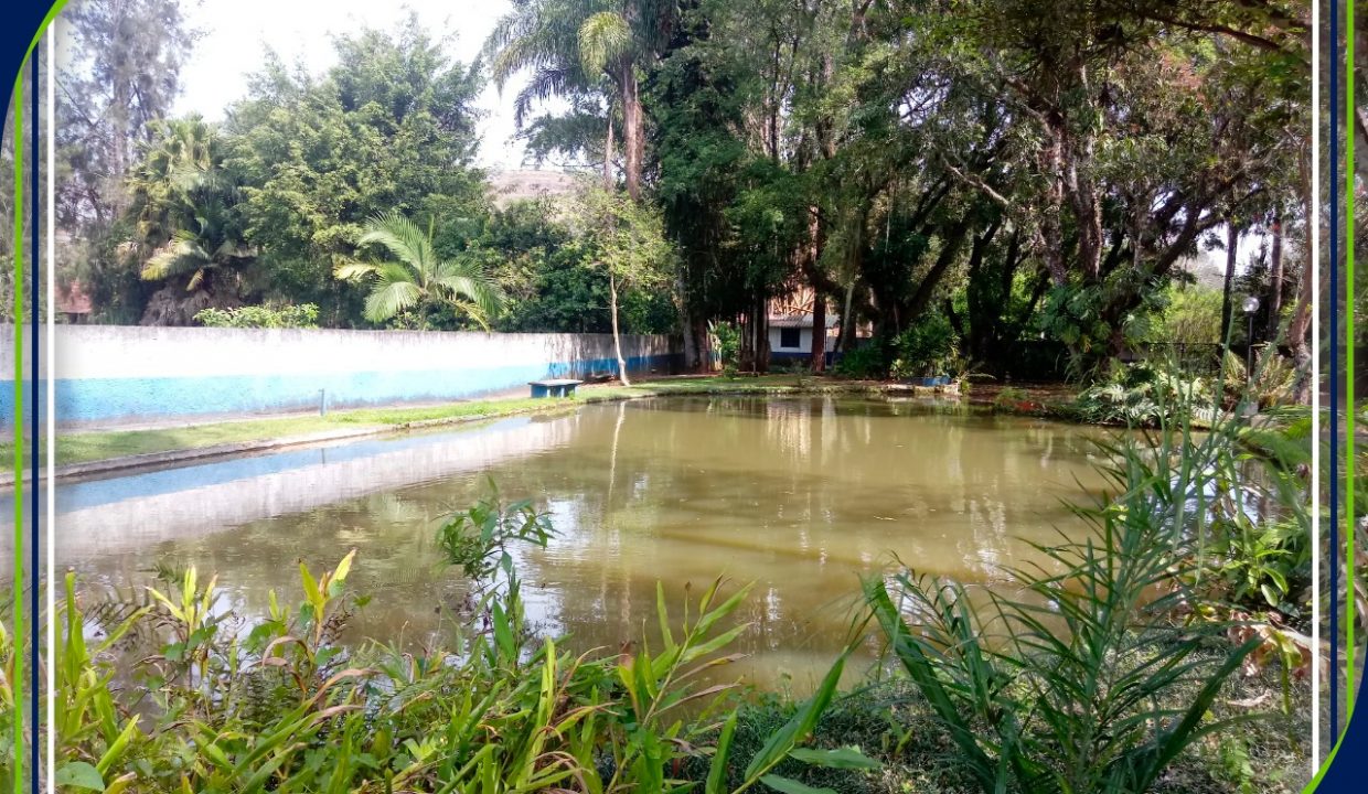 ef7659ad-bfd0-4c82-a20c-81e0a2eb94d6