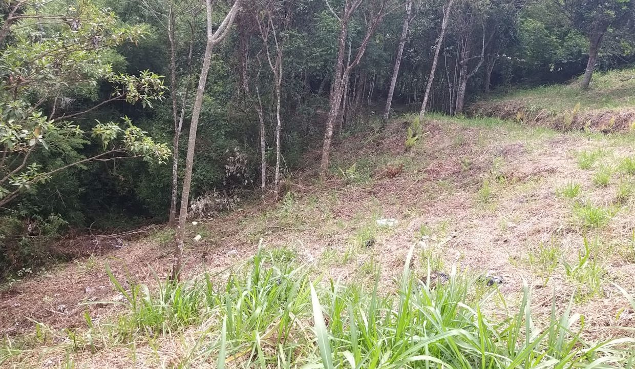 f8798acf-b0b5-42c4-801c-f94e1ee3f7f9