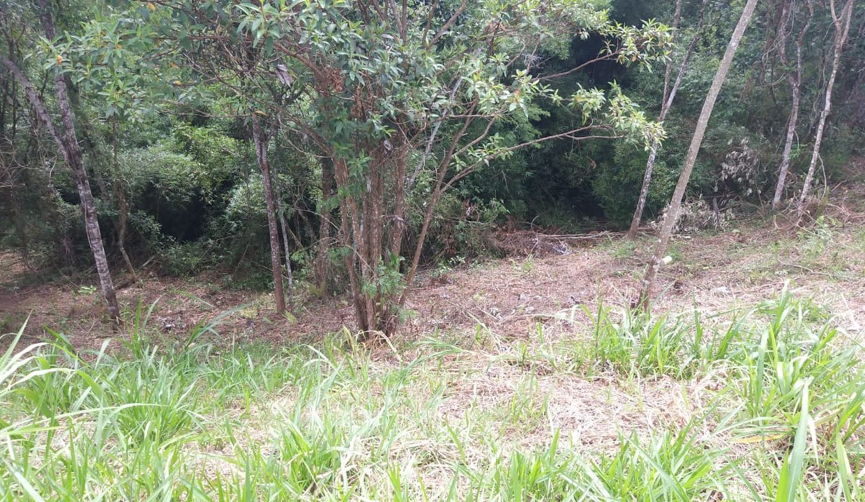 fd71ca09-bd4d-4195-bc93-40dd961a1b1e